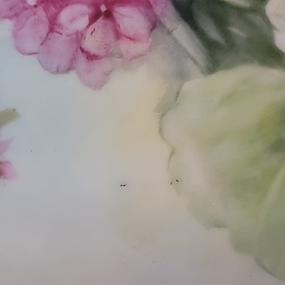 Vintage Floral painted plate porcelain w/ already attached hardware for hanging - Picture 9 of 12